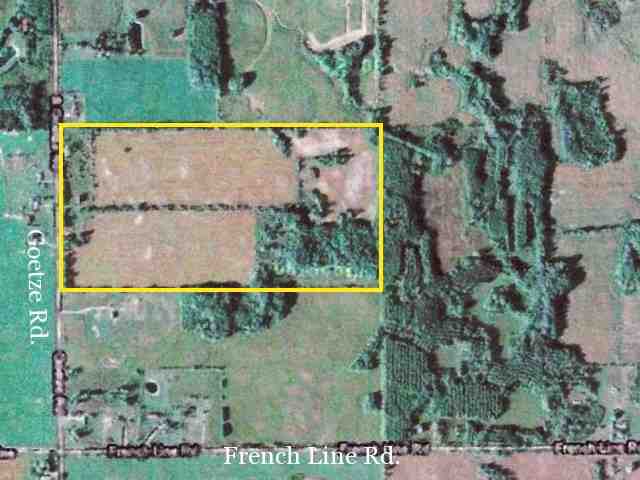 Tbd Goetze Road Applegate, MI 48401 - Photo 1 of 10 31032000.JPG