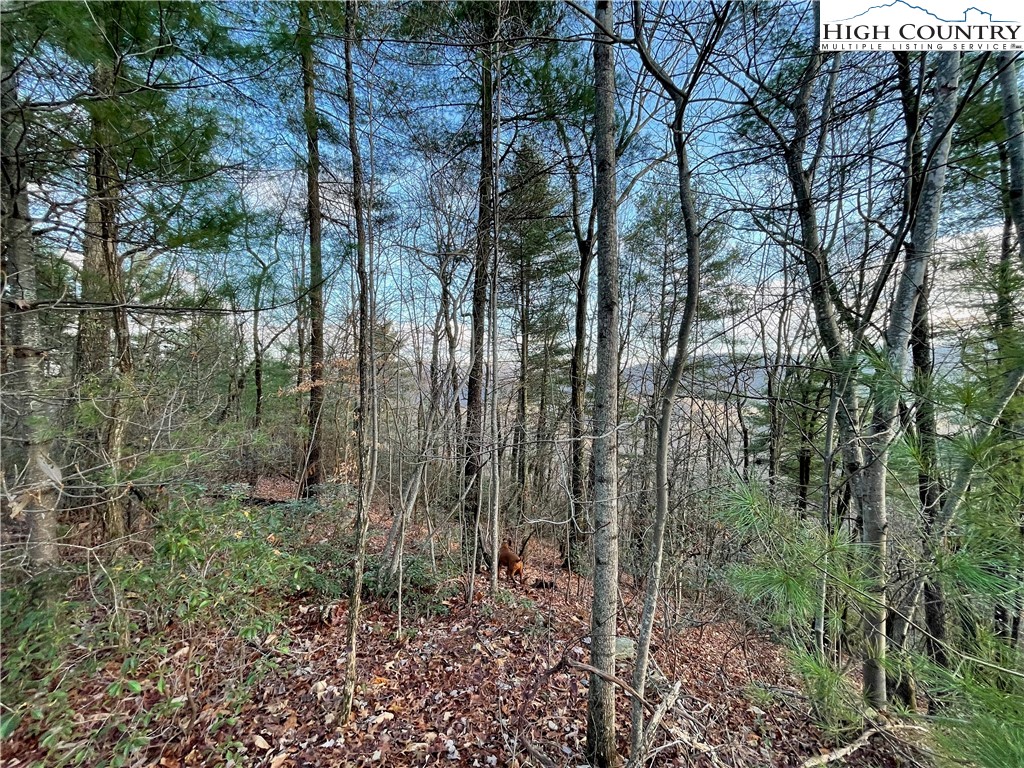 Sandy Gap Road Lenoir, NC 28645 - Photo 20 of 28 Gallery Image 20