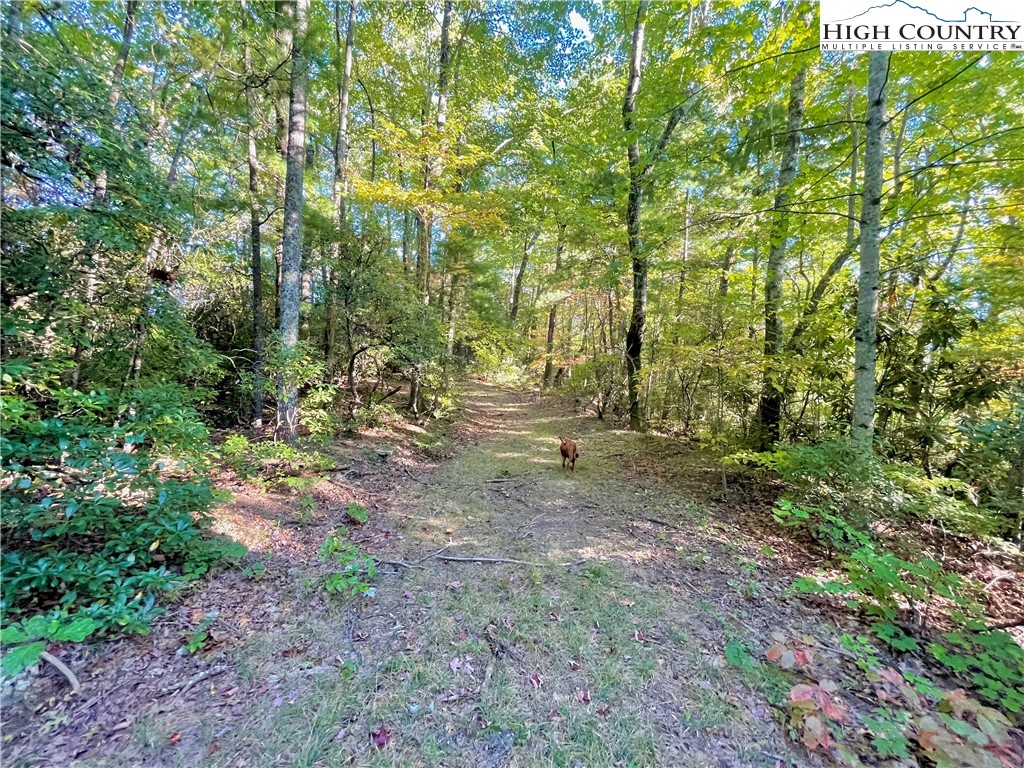 Sandy Gap Road Lenoir, NC 28645 - Photo 3 of 28 Gallery Image 3