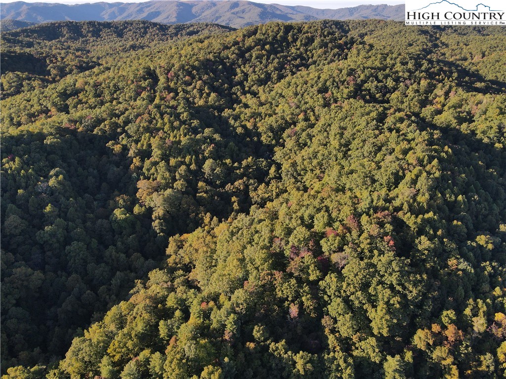 Sandy Gap Road Lenoir, NC 28645 - Photo 5 of 28 Gallery Image 5