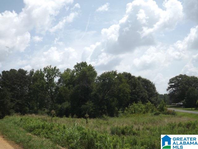 915 Burgett Road Altoona, AL 35952 - Photo 18 of 36