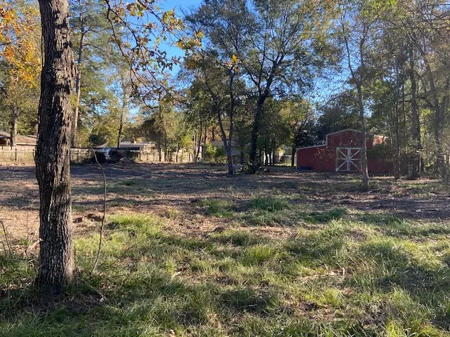 a view of a backyard with large trees