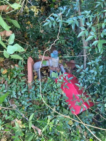 a backyard of a house with lots of green space and garden