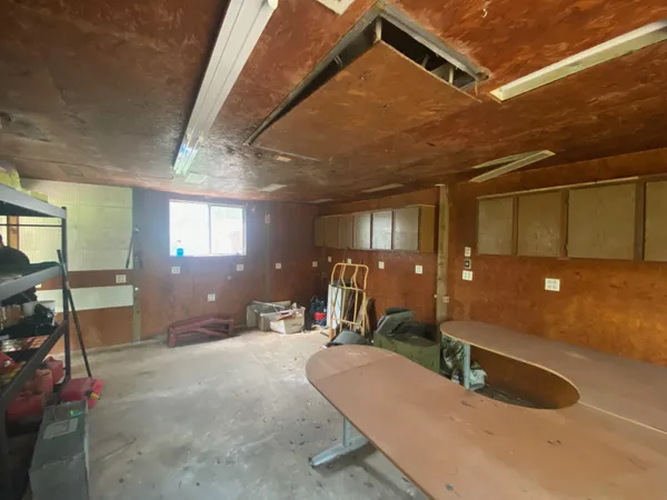 a view of backyard with wooden fence and a large tree