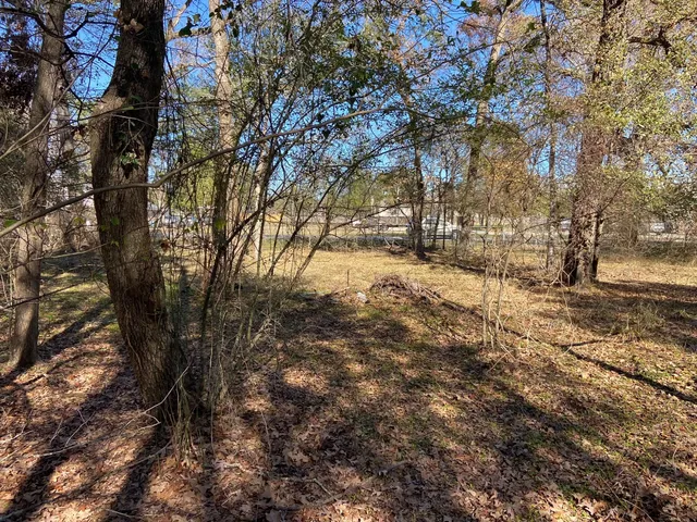 a green field with lots of trees