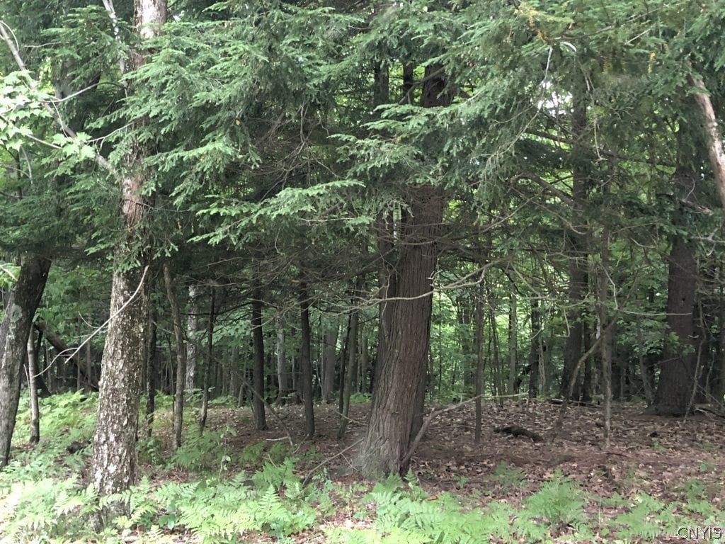 0 Sonnleitner Road Hunt, NY 14846 - Photo 12 of 16