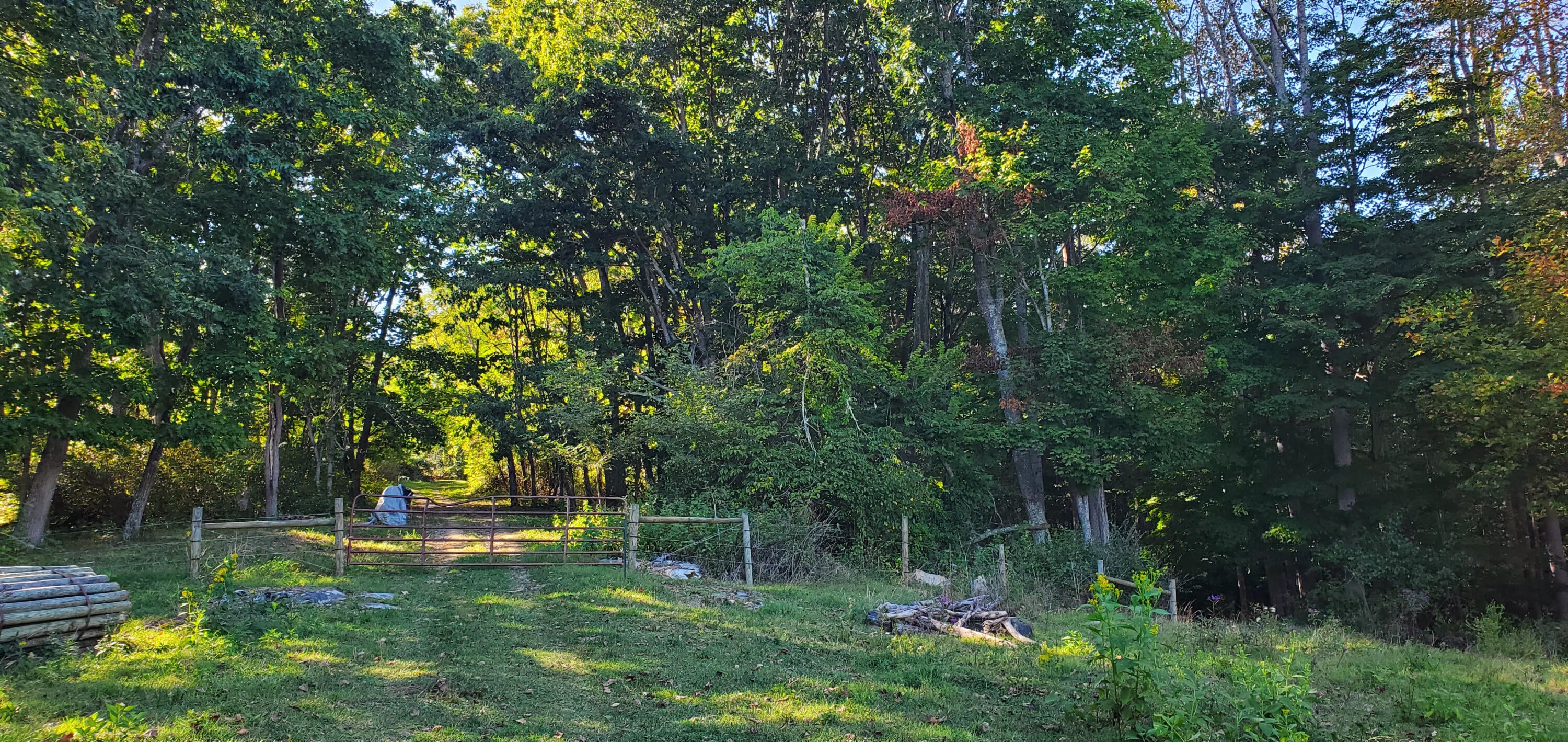 Davis Stuart Road Lewisburg, WV 24901 - Photo 49 of 72 Gallery Image 49