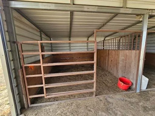 a view of walk in closet with clothes