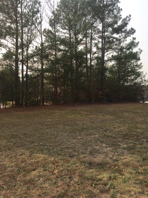 Cobbs Way Anderson, SC 29621 - Photo 3 of 4