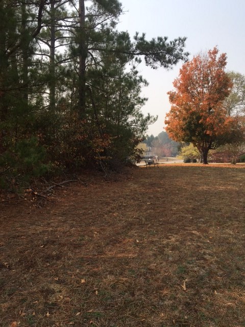 Cobbs Way Anderson, SC 29621 - Photo 4 of 4