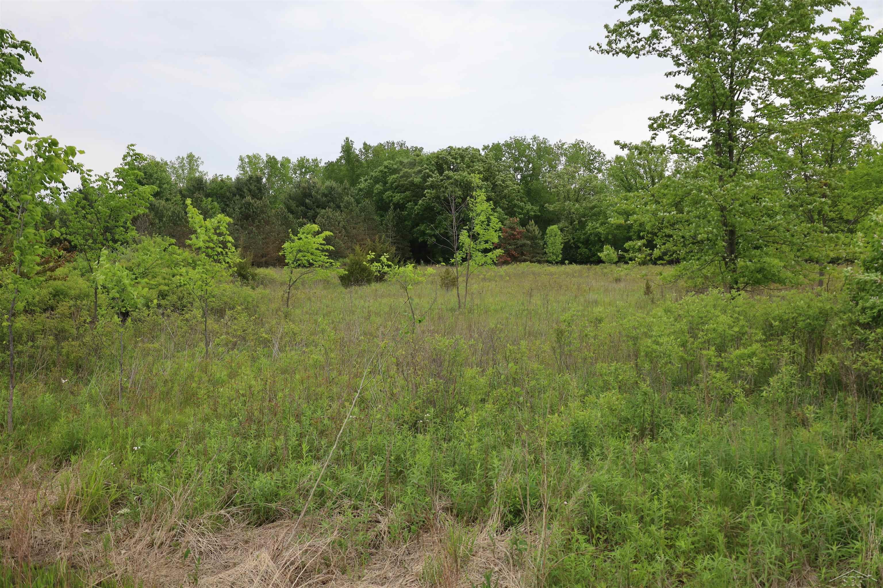 Vl South Beyer Road Birch Run, MI 48415 - Photo 2 of 3