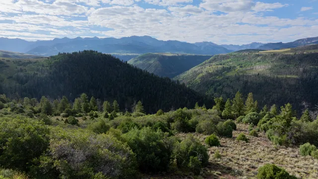 a view of a lush green hillside and a building in the background