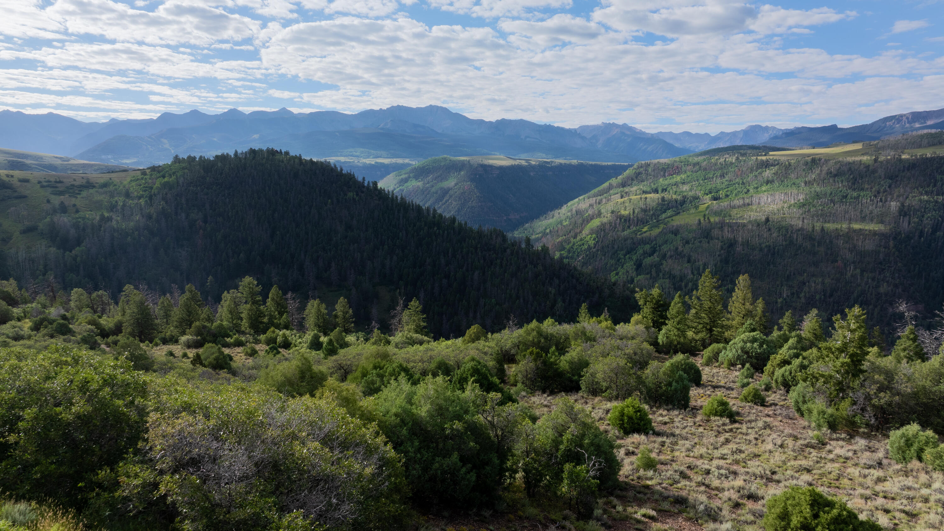 Tbd Wilson Way Telluride, CO 81435 - Photo 3 of 8 a view of a lush green hillside and a building in the background