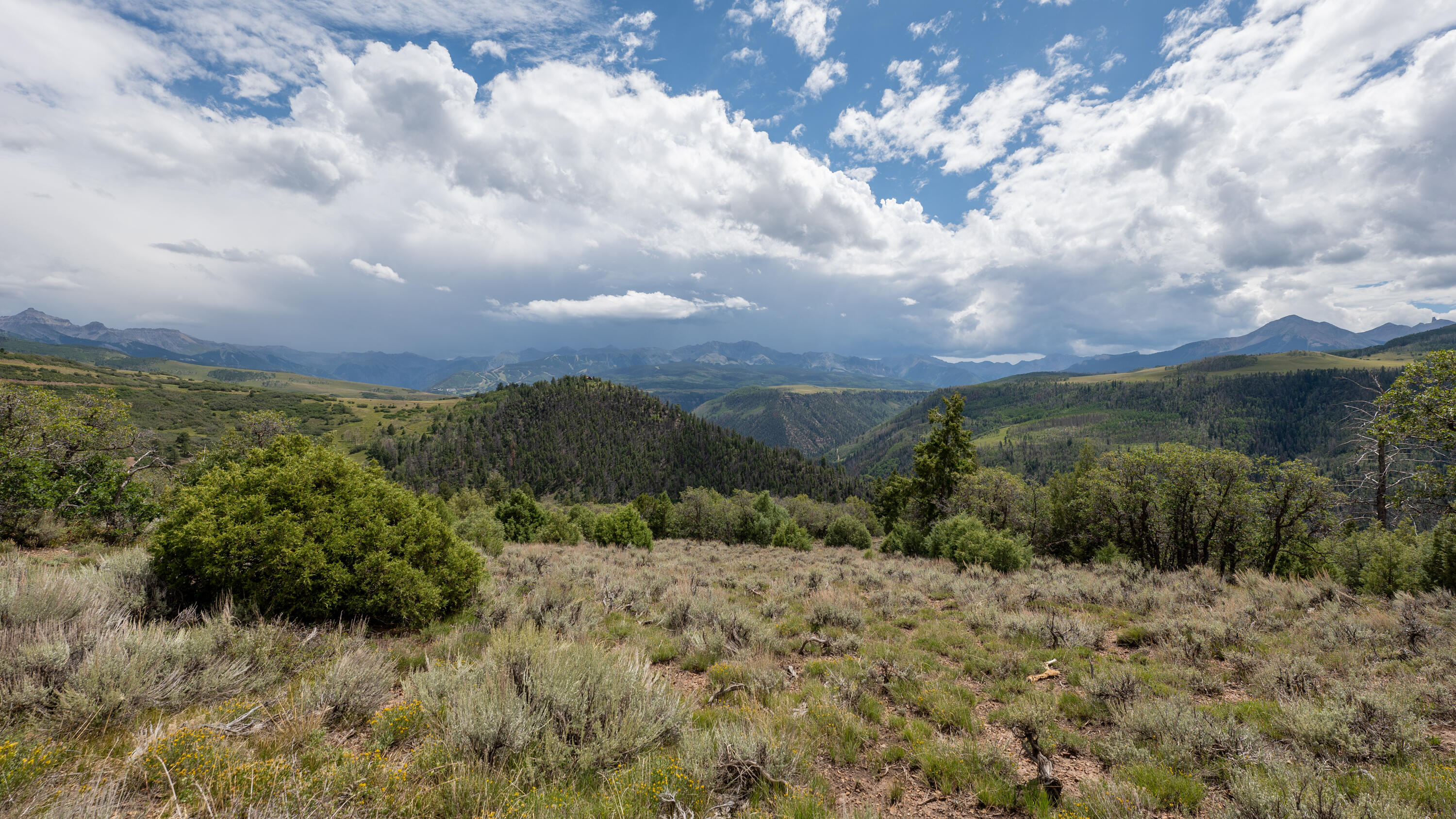 Tbd Wilson Way Telluride, CO 81435 - Photo 6 of 8 a view of a yard with a lake view