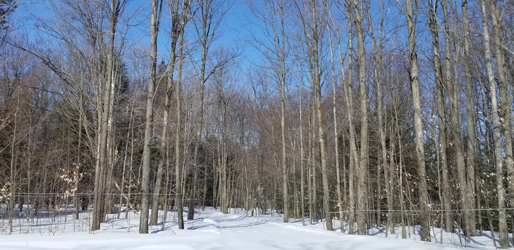 11 State Route Burke, NY 12917 - Photo 16 of 50