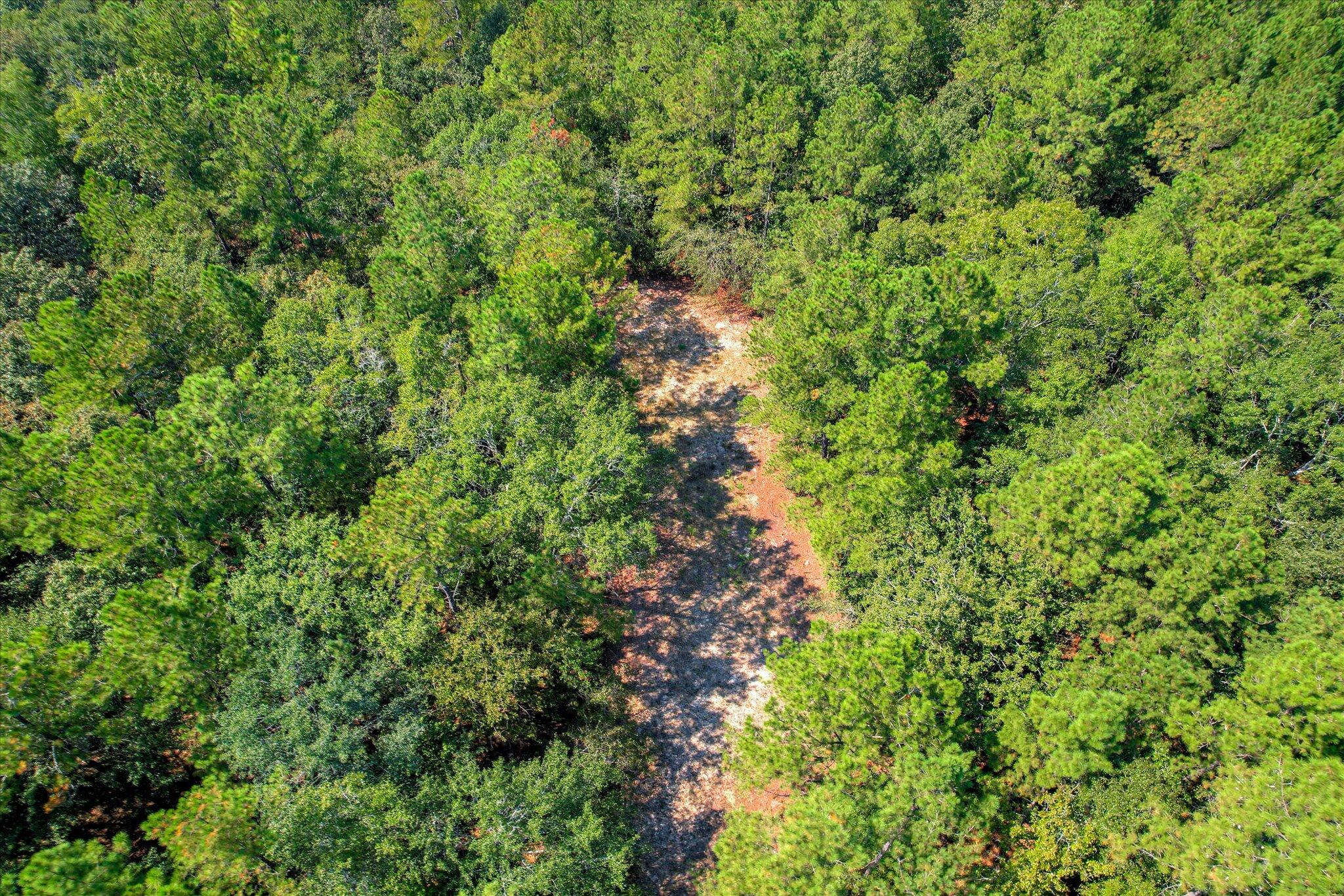 001 A Centerwood Road Williston, SC 29853 - Photo 16 of 19
