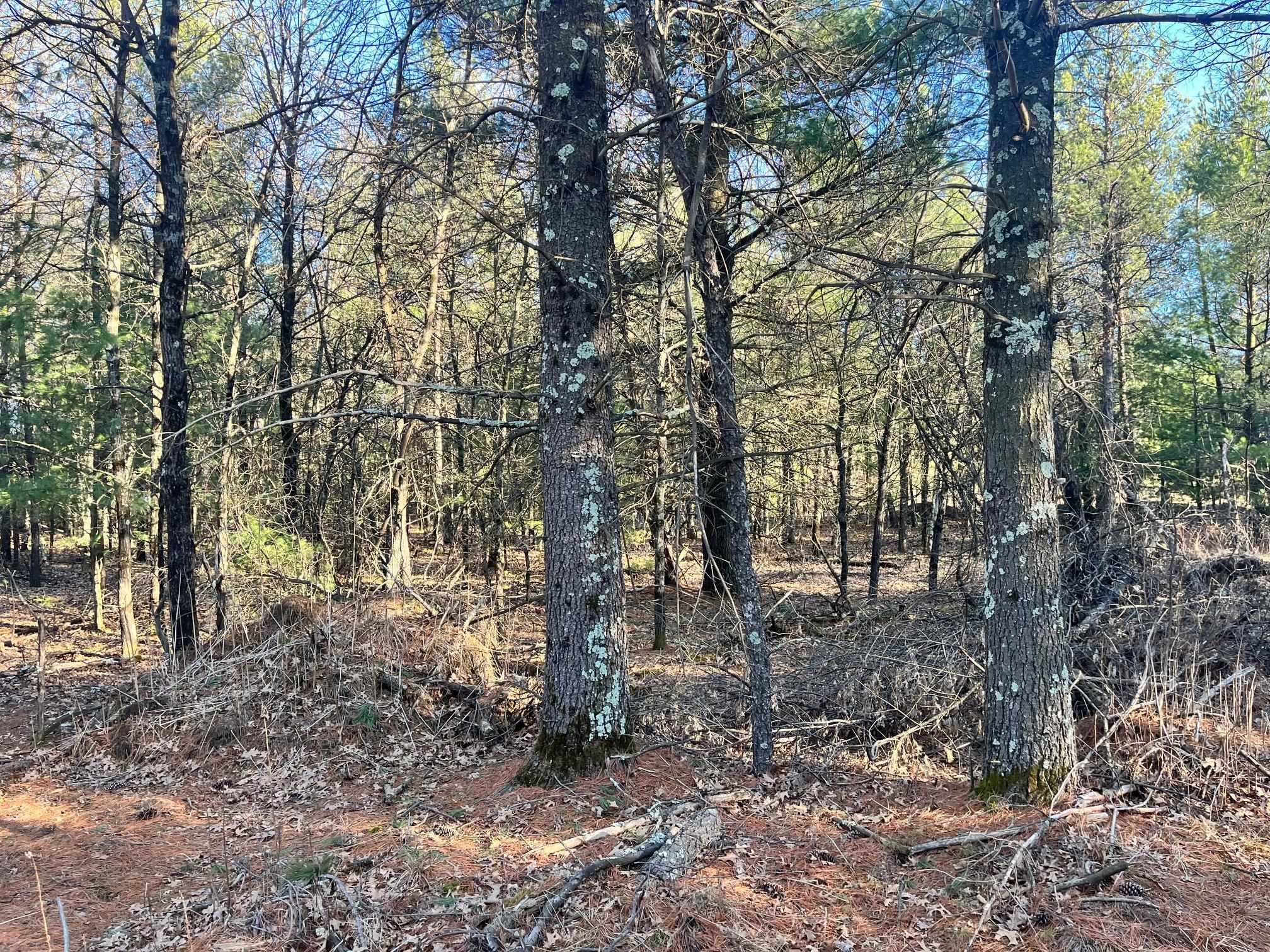 930 County Rd C Hancock, WI 54943 - Photo 12 of 13