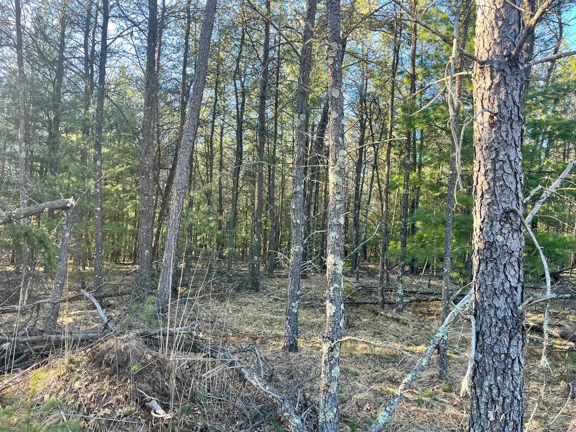 930 County Rd C Hancock, WI 54943 - Photo 13 of 13