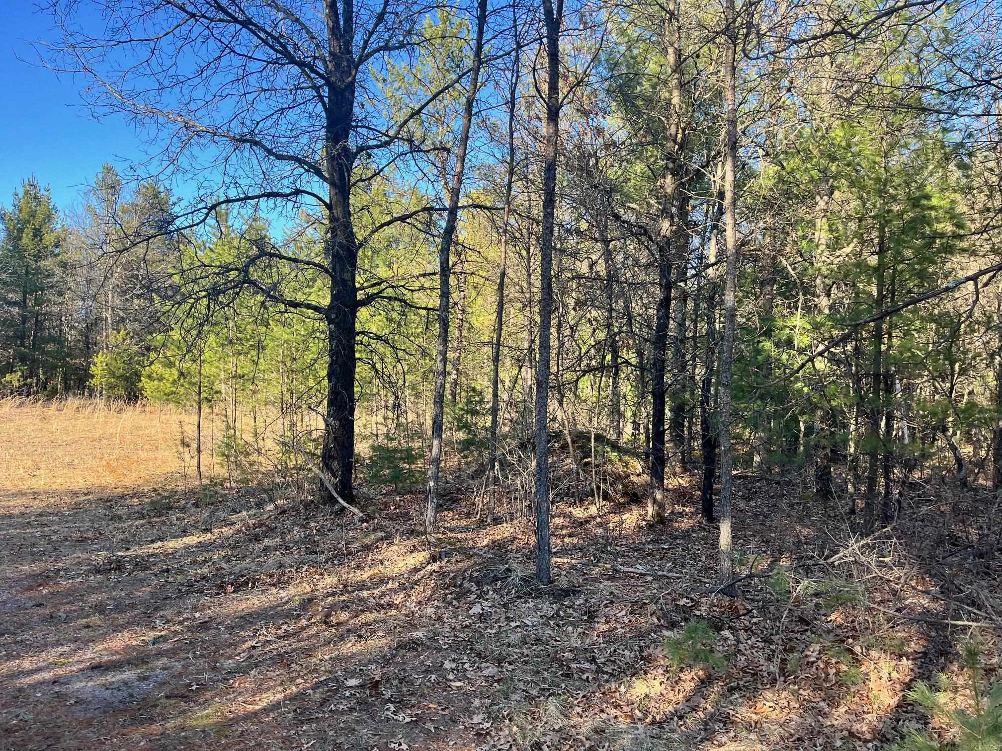 930 County Rd C Hancock, WI 54943 - Photo 3 of 13