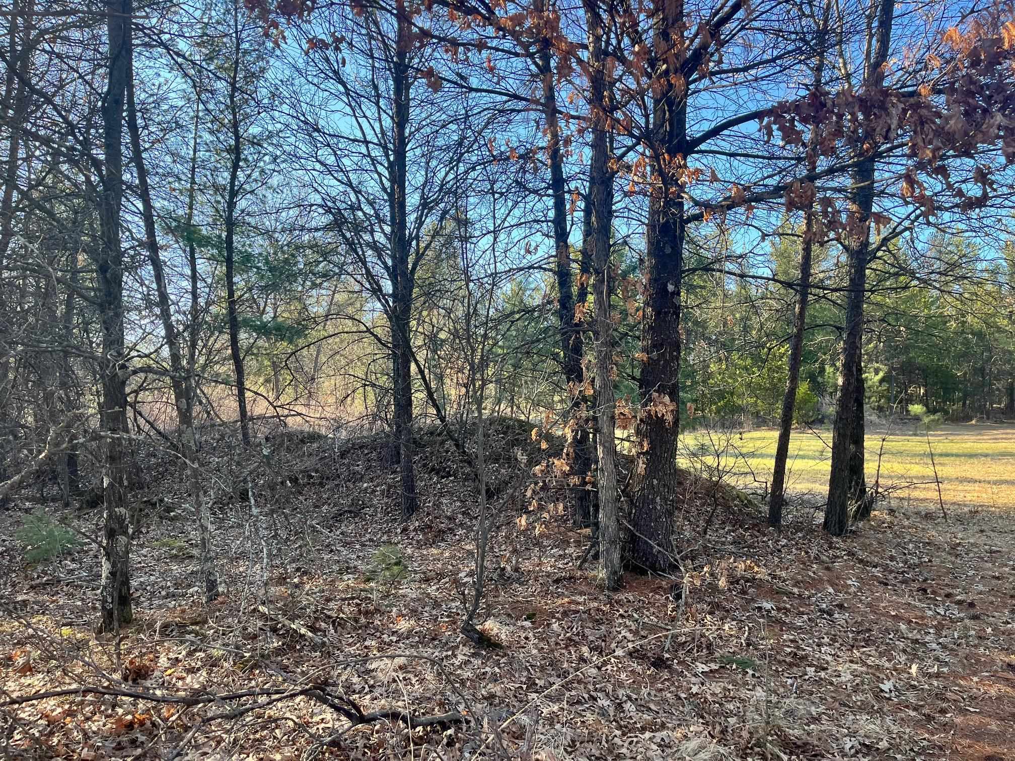 930 County Rd C Hancock, WI 54943 - Photo 4 of 13