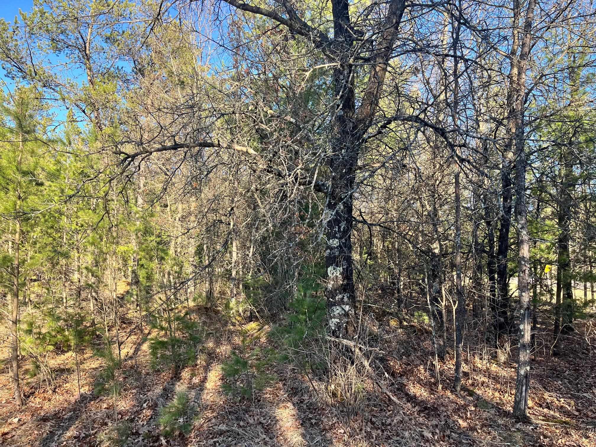 930 County Rd C Hancock, WI 54943 - Photo 7 of 13