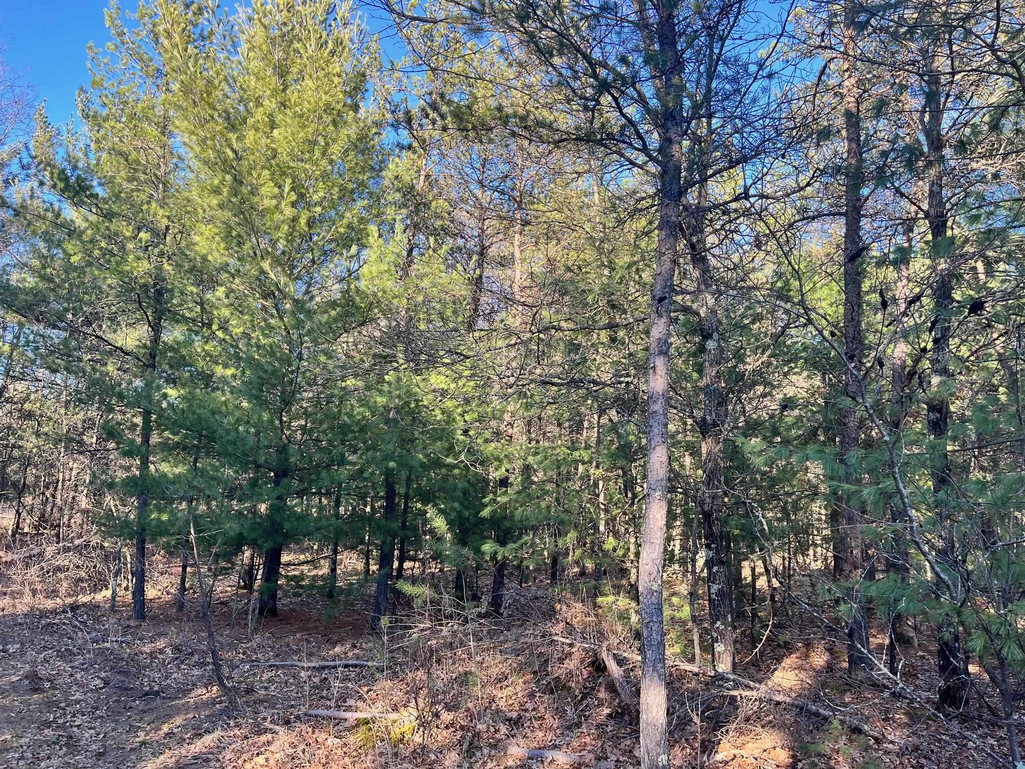 930 County Rd C Hancock, WI 54943 - Photo 8 of 13