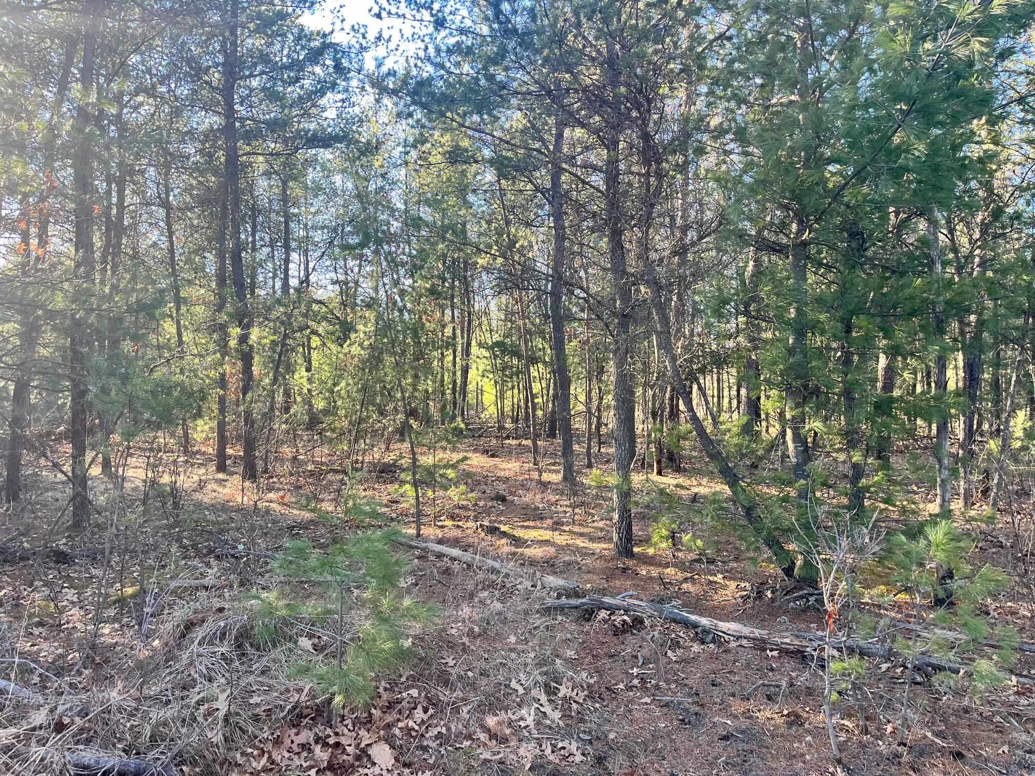 930 County Rd C Hancock, WI 54943 - Photo 9 of 13