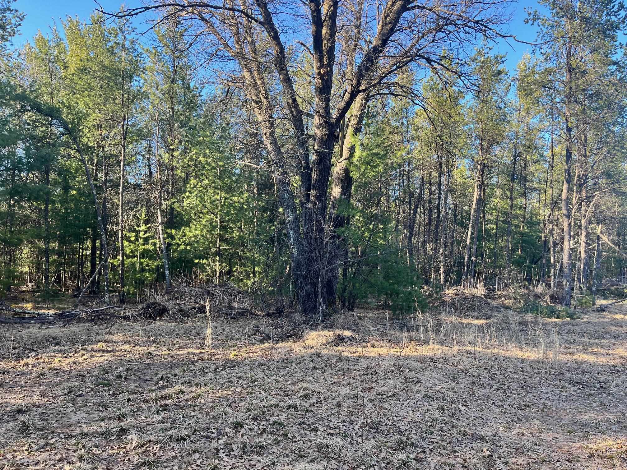 930 County Rd C Hancock, WI 54943 - Photo 10 of 13