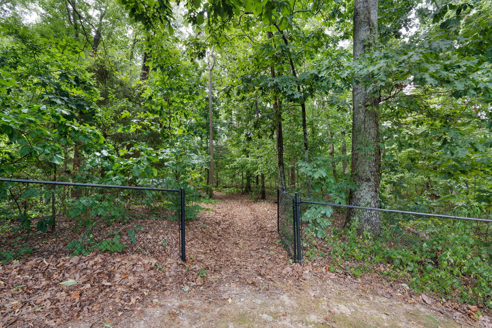 1511 Northwest Benjamin Circle Cleveland, TN 37312 - Photo 48 of 64 Additional Rear Lot
