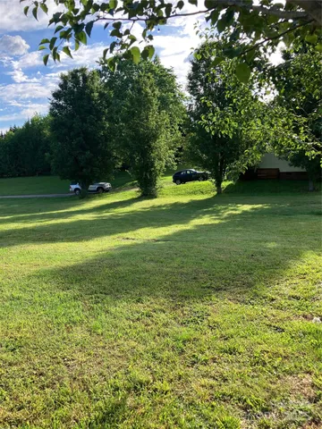 a view of a yard with a large trees