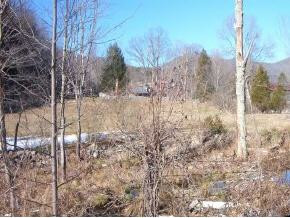 0 Carter Branch Road Elizabethton, TN 37643 - Photo 1 of 1 Photo 1
