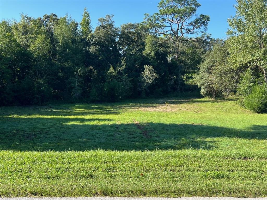 0 Irving Street Spring Hill, FL 34609 - Photo 1 of 1 View from Irving Street