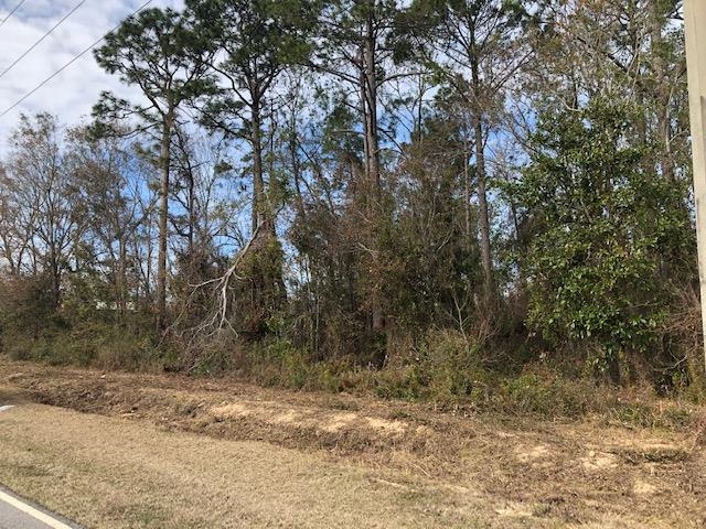 0 Miflin Road Foley, AL 36535 - Photo 5 of 7
