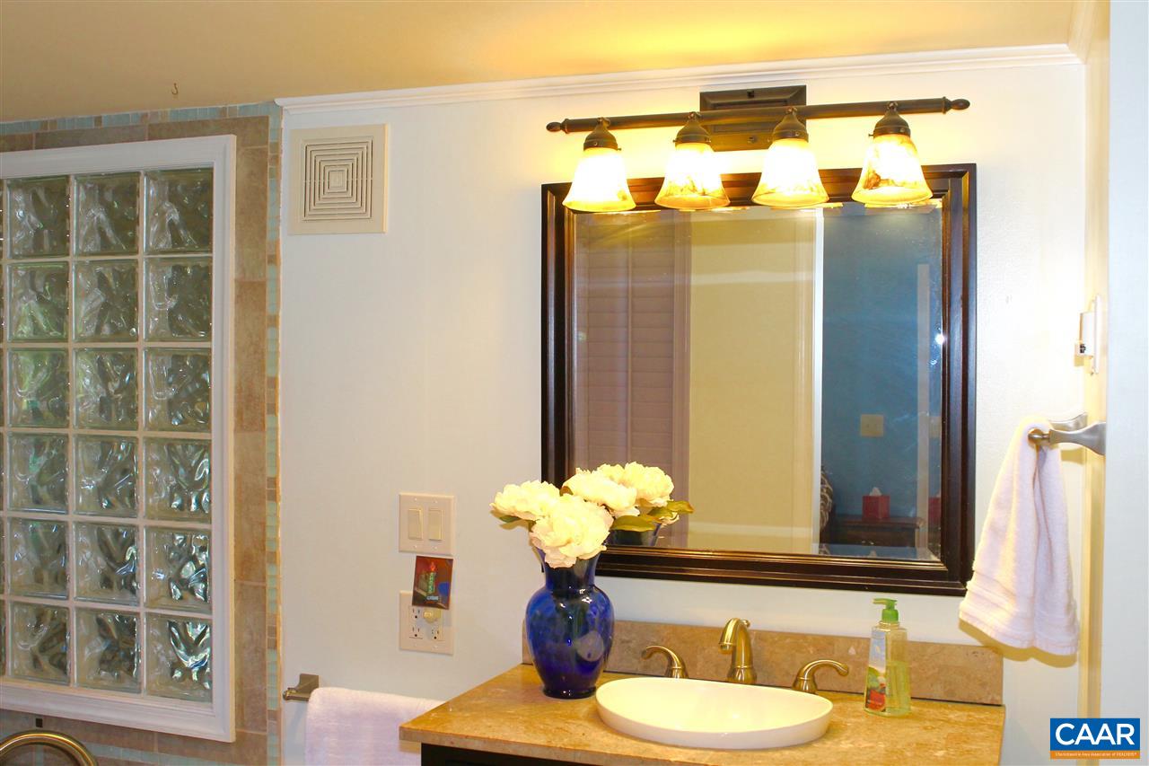 4508 Deer Bonn Road Keswick, VA 22947 - Photo 15 of 28 a bathroom with a sink a mirror and a shower