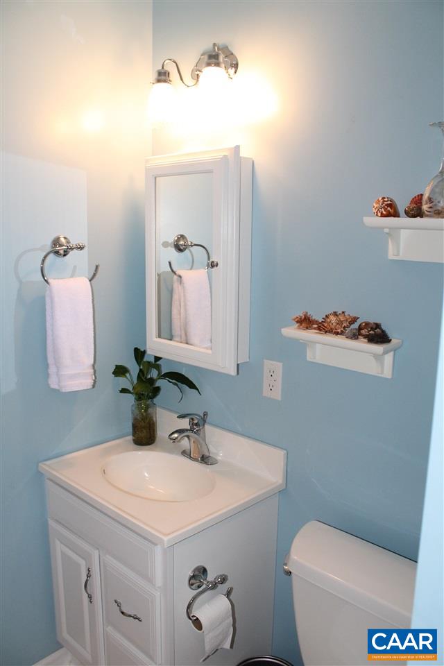 4508 Deer Bonn Road Keswick, VA 22947 - Photo 25 of 28 a bathroom with a sink vanity mirror and toilet