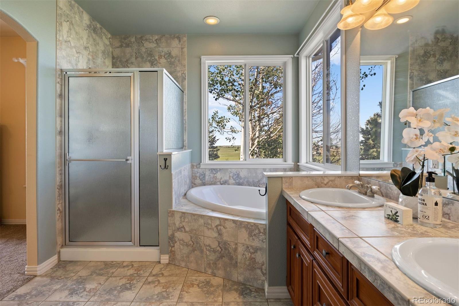 3519 Zane Grey Loop Parker, CO 80138 - Photo 32 of 40 a bathroom with a granite countertop sink a bathtub and shower