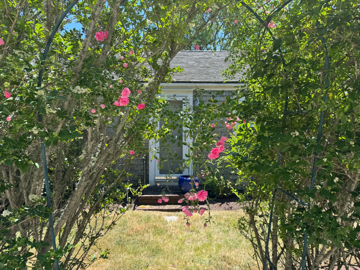 16 H Milestone Road, Unit 8 DIONIS Nantucket, MA 02554 - Photo 2 of 22 a view of outdoor space and yard