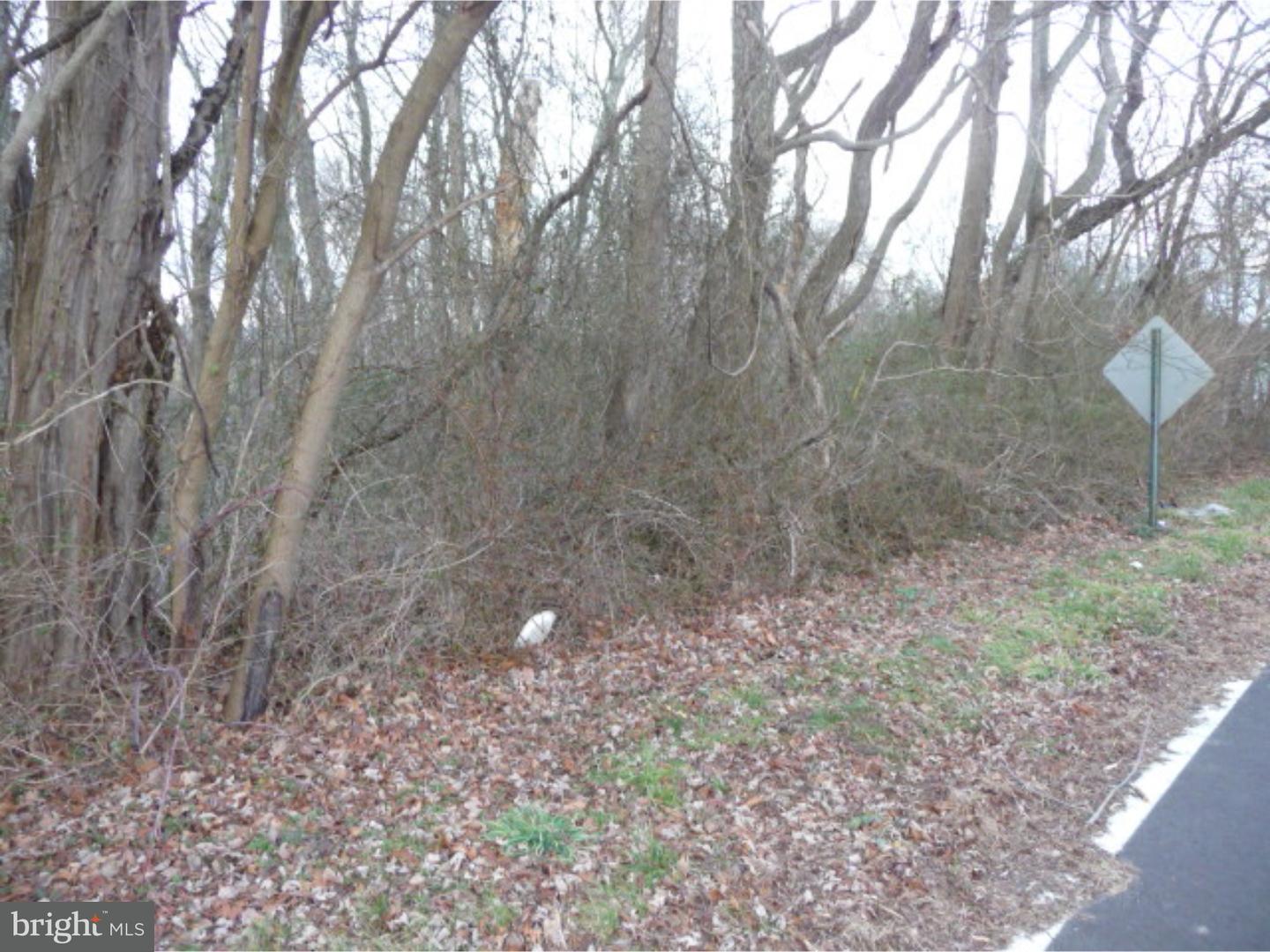 Lot 2 Crosswicks Ellisdale Road Chesterfield, NJ 08515 - Photo 1 of 24