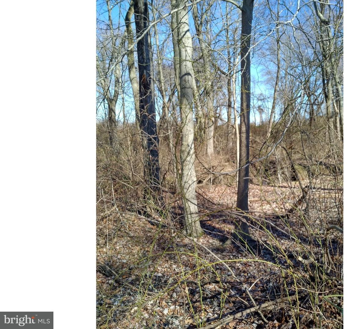Lot 2 Crosswicks Ellisdale Road Chesterfield, NJ 08515 - Photo 2 of 24