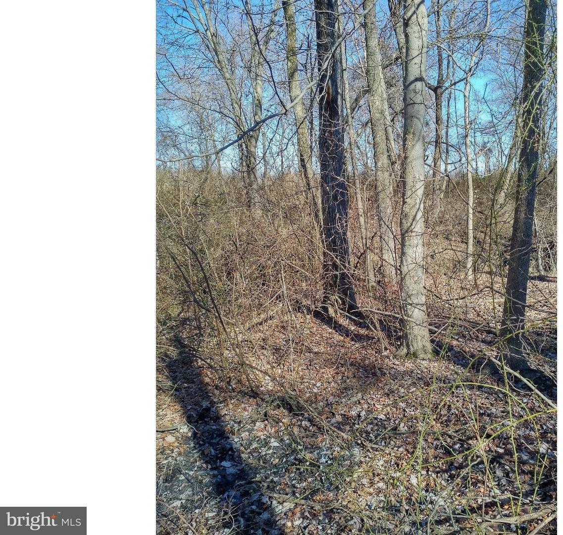 Lot 2 Crosswicks Ellisdale Road Chesterfield, NJ 08515 - Photo 11 of 24