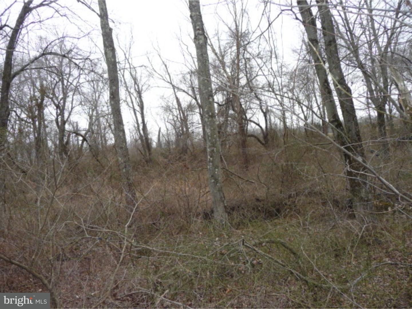 Lot 2 Crosswicks Ellisdale Road Chesterfield, NJ 08515 - Photo 12 of 24