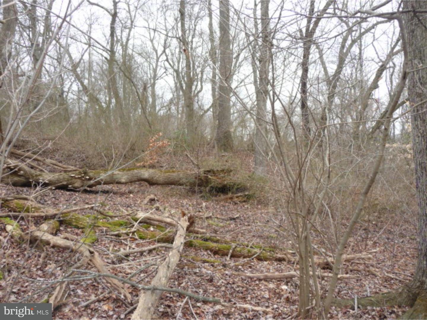 Lot 2 Crosswicks Ellisdale Road Chesterfield, NJ 08515 - Photo 13 of 24