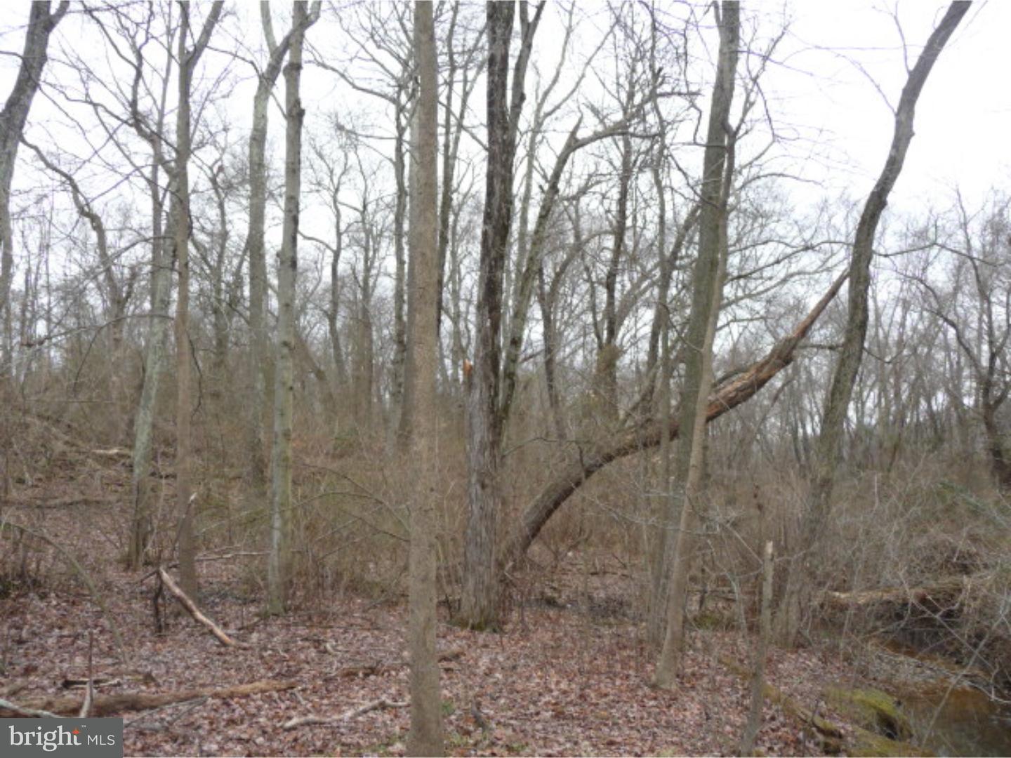 Lot 2 Crosswicks Ellisdale Road Chesterfield, NJ 08515 - Photo 14 of 24