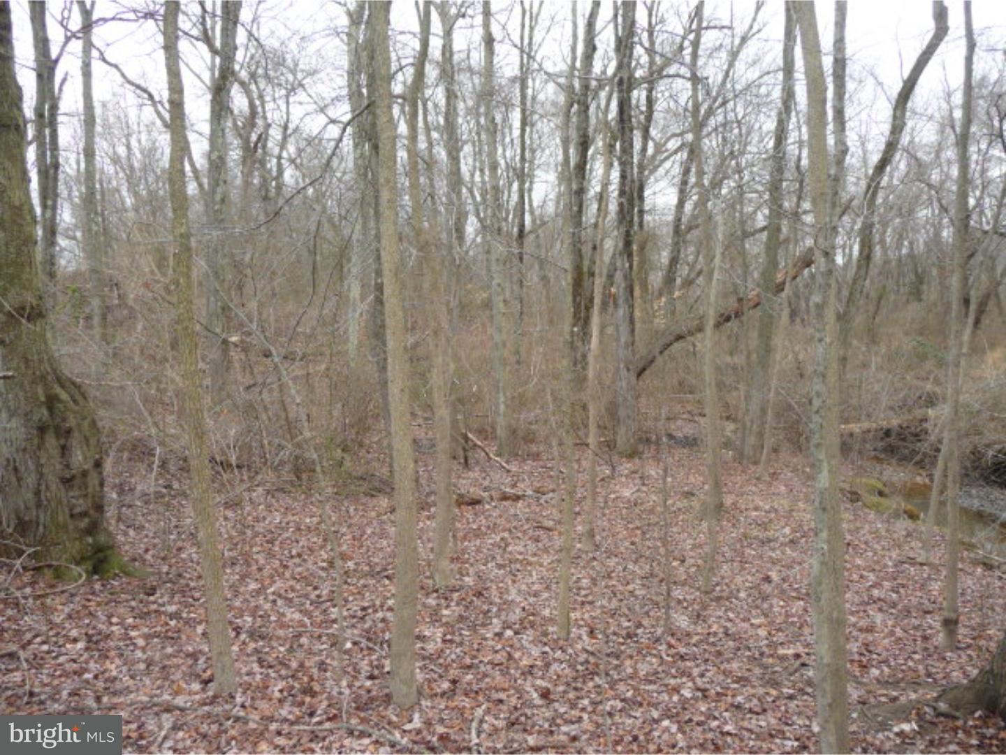 Lot 2 Crosswicks Ellisdale Road Chesterfield, NJ 08515 - Photo 15 of 24
