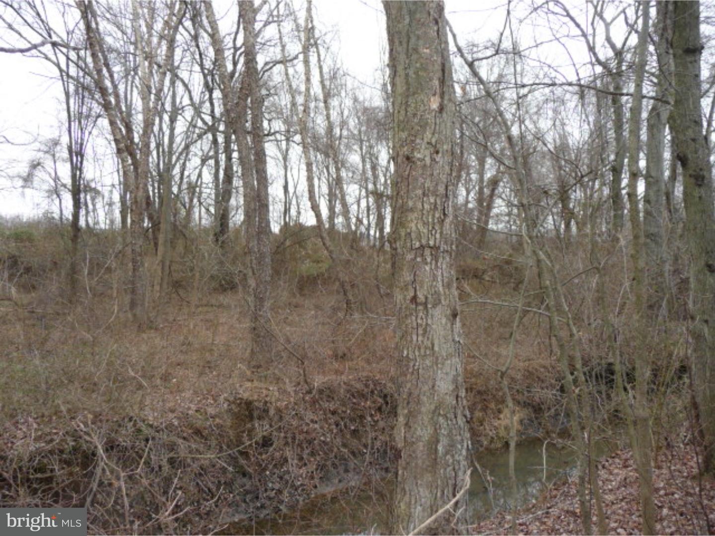 Lot 2 Crosswicks Ellisdale Road Chesterfield, NJ 08515 - Photo 16 of 24