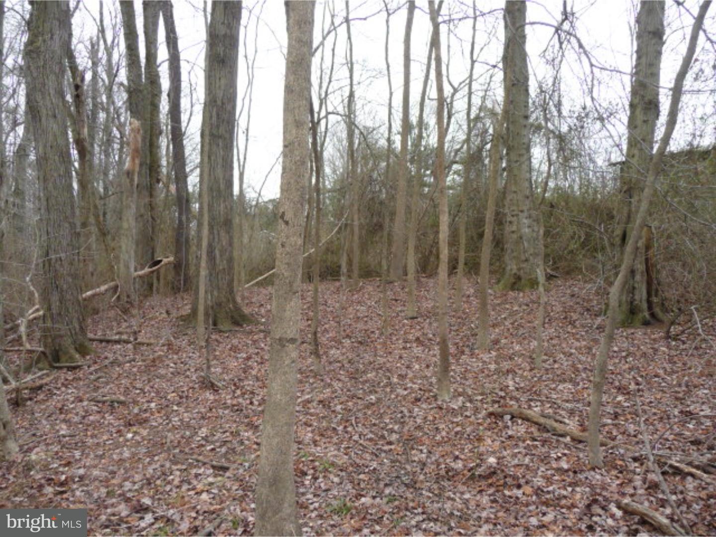 Lot 2 Crosswicks Ellisdale Road Chesterfield, NJ 08515 - Photo 17 of 24