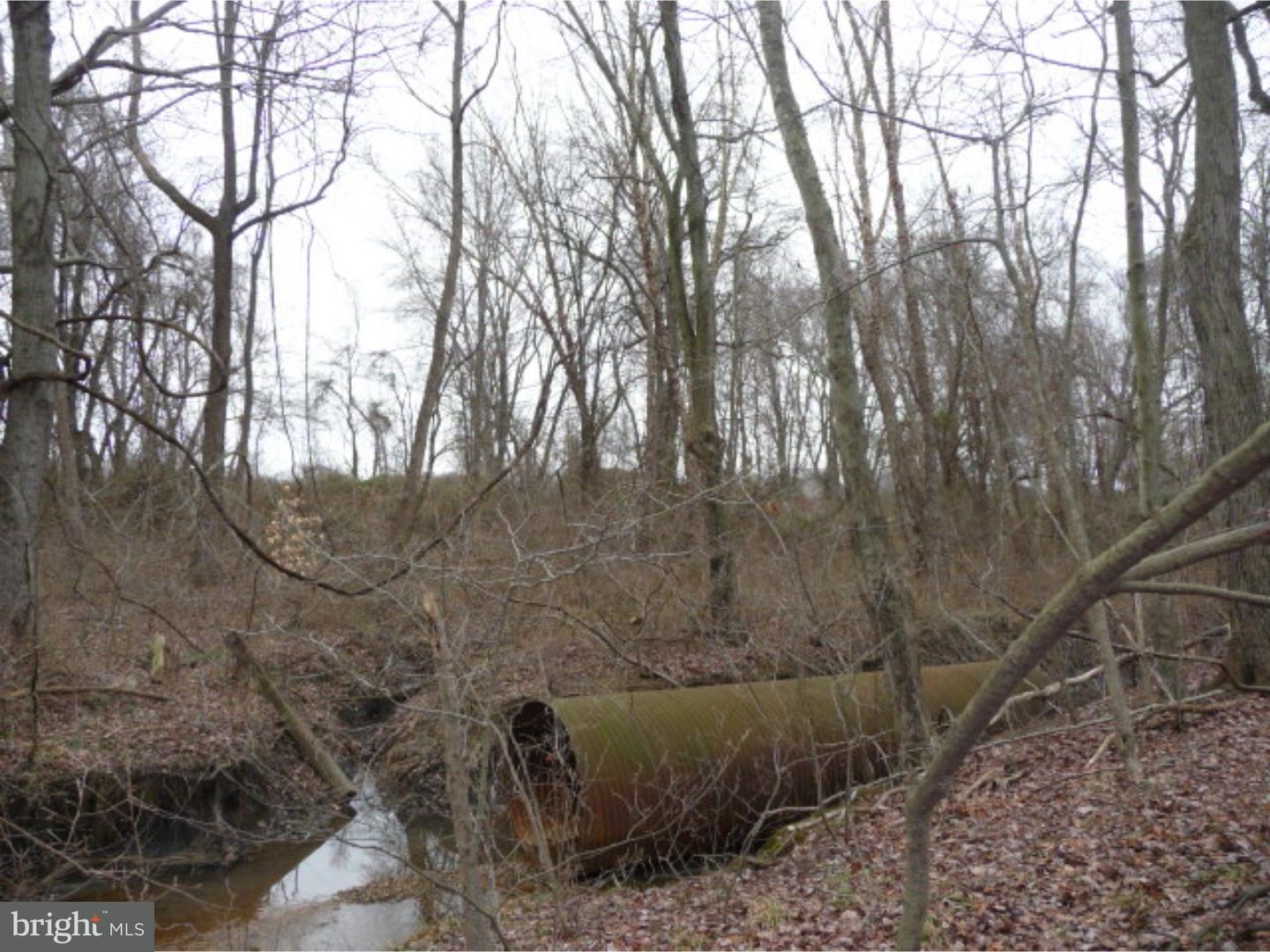 Lot 2 Crosswicks Ellisdale Road Chesterfield, NJ 08515 - Photo 18 of 24