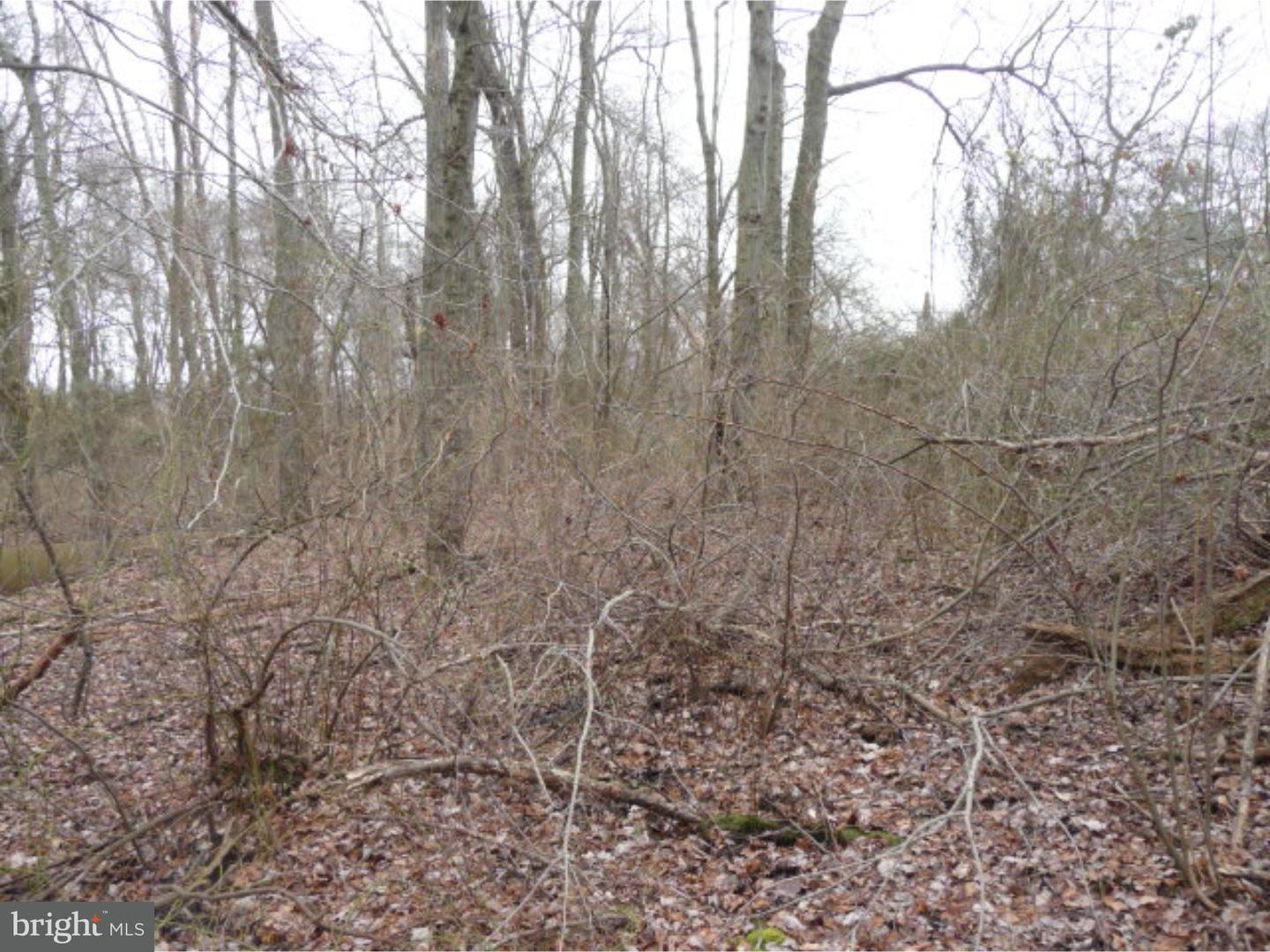 Lot 2 Crosswicks Ellisdale Road Chesterfield, NJ 08515 - Photo 19 of 24
