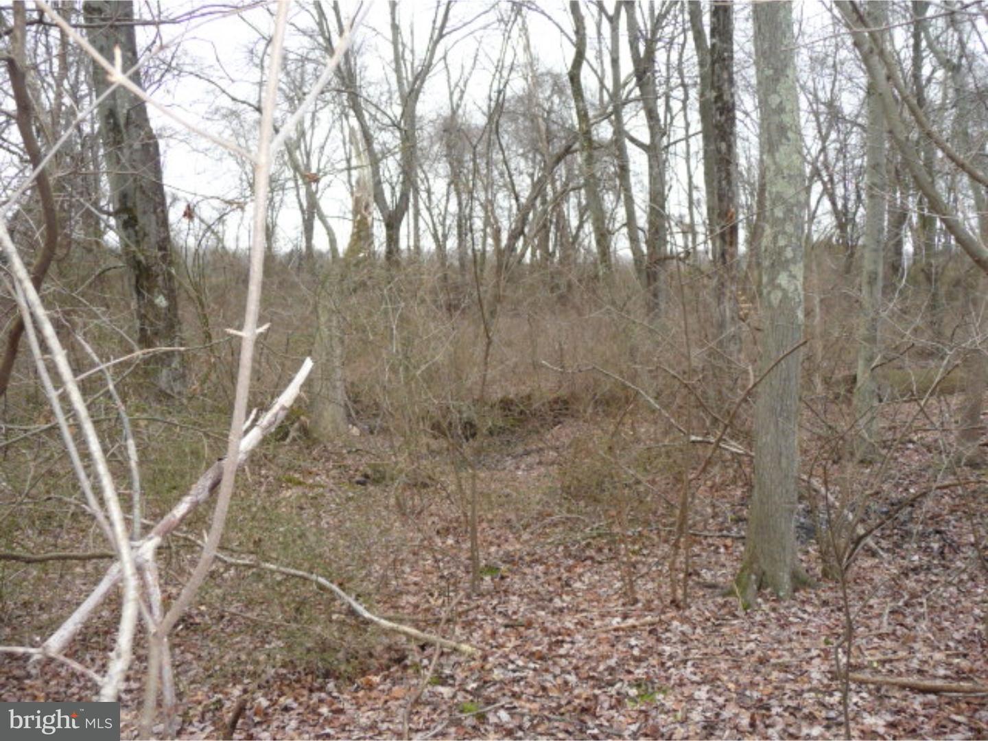 Lot 2 Crosswicks Ellisdale Road Chesterfield, NJ 08515 - Photo 20 of 24