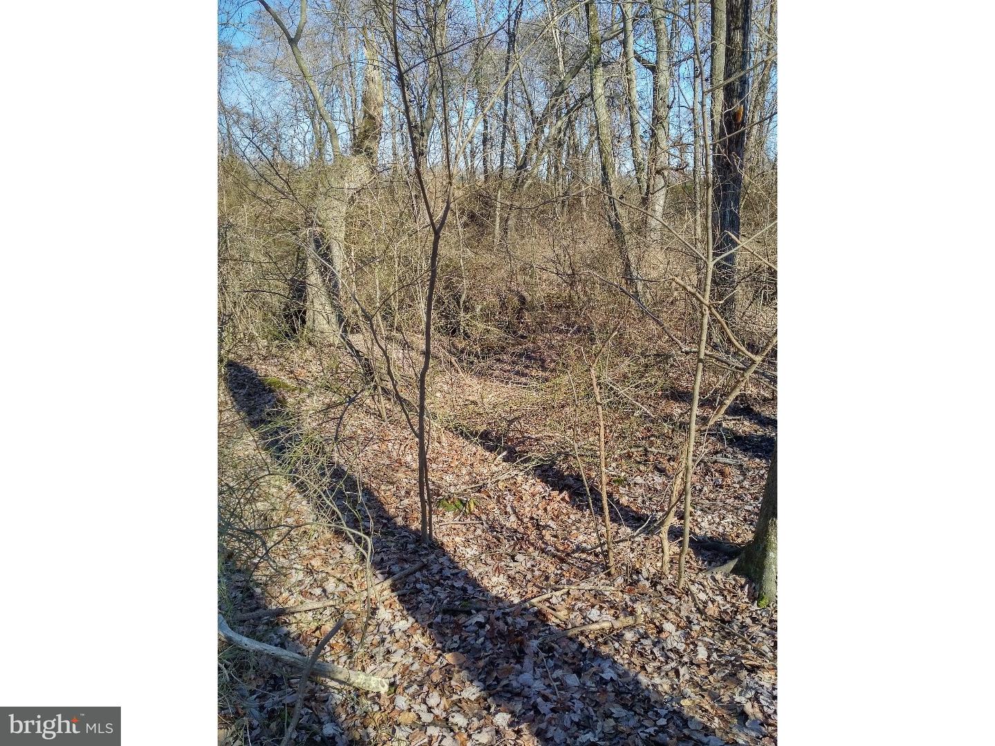 Lot 2 Crosswicks Ellisdale Road Chesterfield, NJ 08515 - Photo 3 of 24
